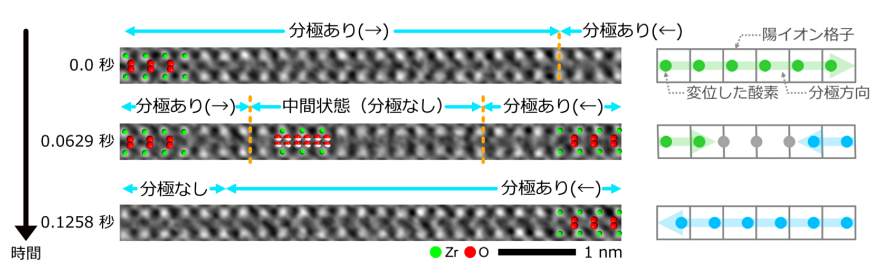 本成果の概要図