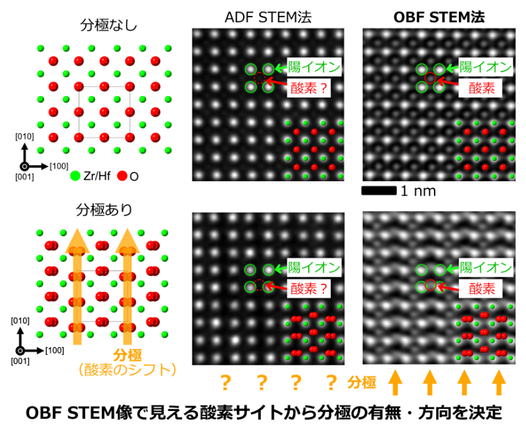 OBF STEM像で見える酸素サイトから分極の有無・方向を決定