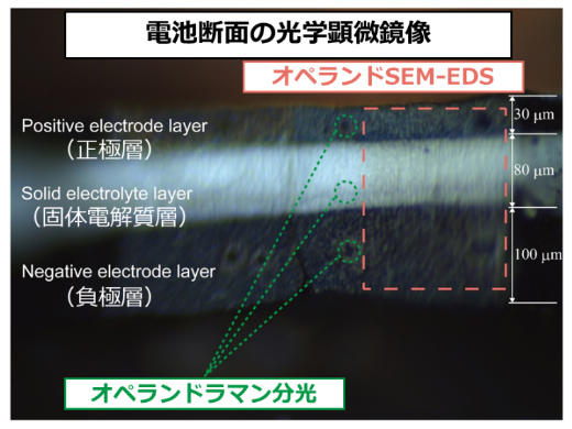 電池断面の光学顕微鏡像