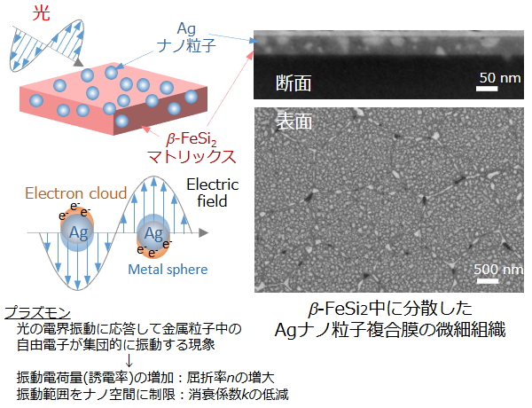 β-FeSi2中に分散したAgナノ粒子複合膜の微細組織