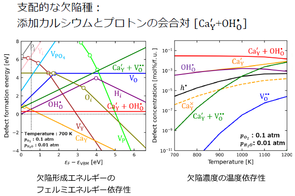 支配的な欠陥種：添加カルシウムとプロトンの会合対